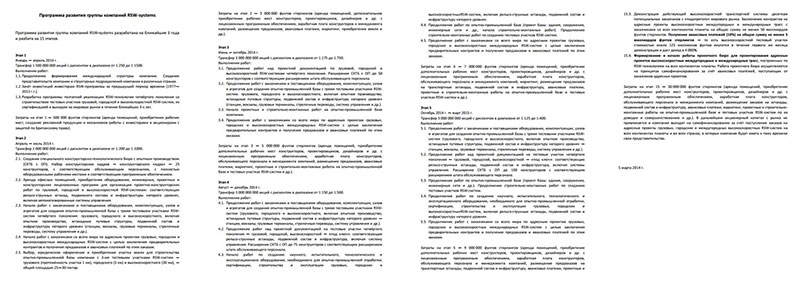 Program for the development of the Group of RSW systems Companies
