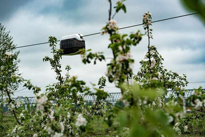 SkyWay unicar over an apple garden at EcoTechnoPark
