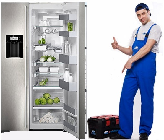  Запчасти для холодильников: как не ошибиться с выбором
