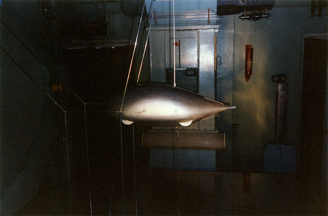 Anatoly Yunitskiy - blowing in the wind tunnel of module of scale 1:5