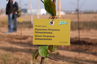 Greening of SkyWay technologies center