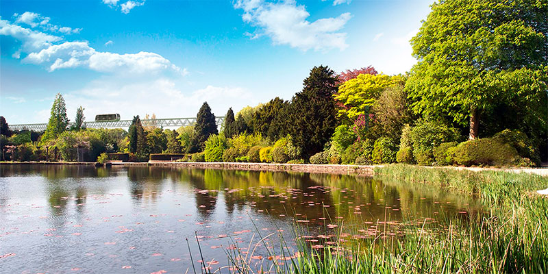 EcoTechnoPark object: lake with ecosystem